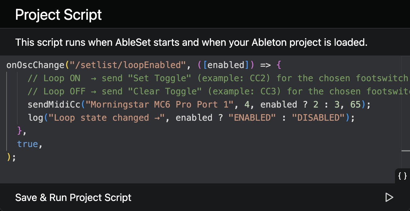 A view of the Project Script editor
